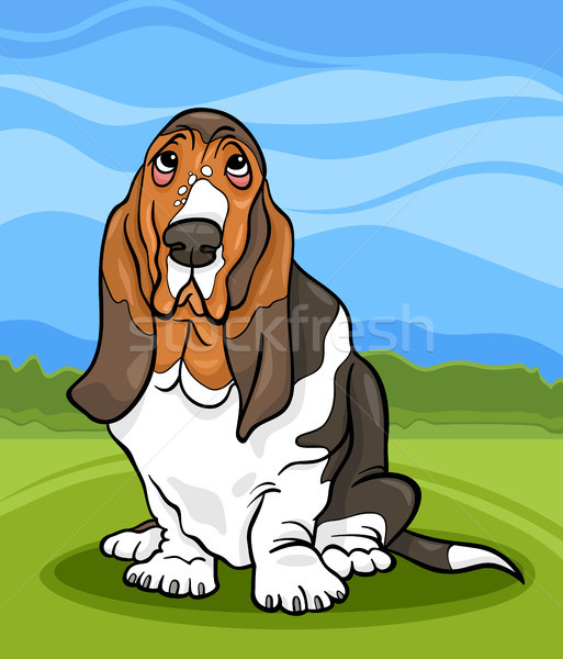 Vadászkutya kutya rajz illusztráció aranyos fajtiszta kutya Stock fotó © izakowski