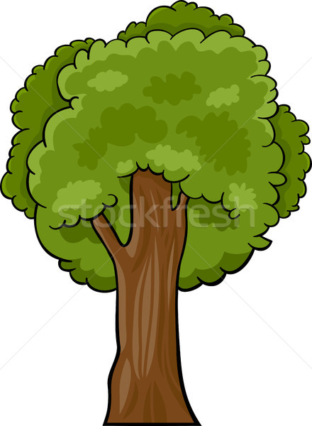 Desenho animado ilustração decídua árvore verde carvalho Foto stock © izakowski