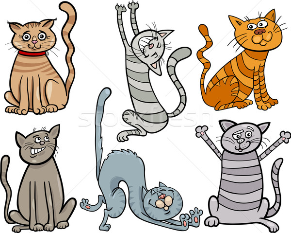 Komik kediler ayarlamak karikatür örnek sevimli Stok fotoğraf © izakowski