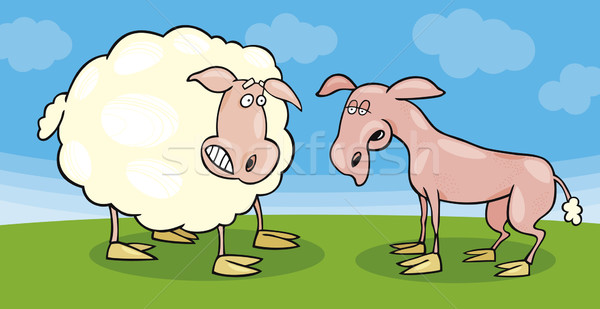 Frightened sheep and shaved one Stock photo © izakowski