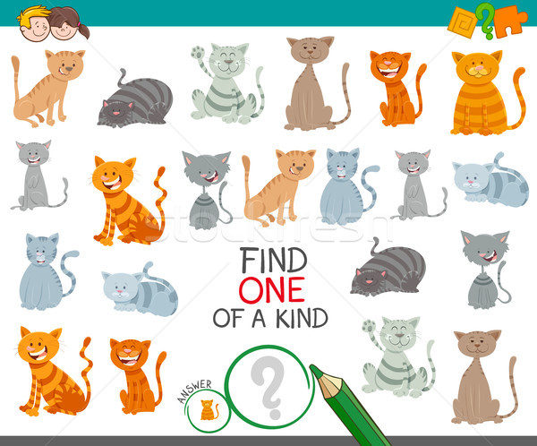 find one cat of a kind game for children Stock photo © izakowski