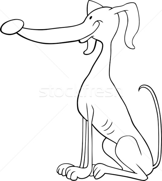 Foto stock: Galgo · perro · Cartoon · libro · para · colorear · ilustración · funny
