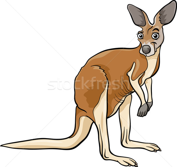 Känguru Tier Karikatur Illustration funny Zeichnung Stock foto © izakowski
