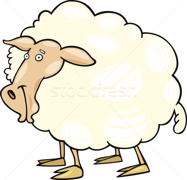 Cartoon sheep Stock photo © izakowski