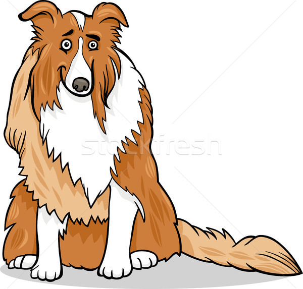 collie purebred dog cartoon illustration Stock photo © izakowski