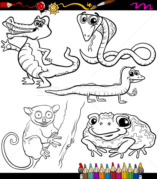 animals set cartoon coloring book Stock photo © izakowski