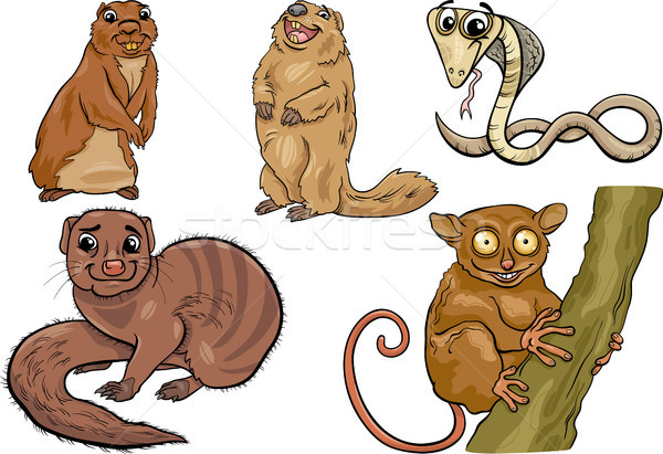 wild animals set cartoon illustration Stock photo © izakowski
