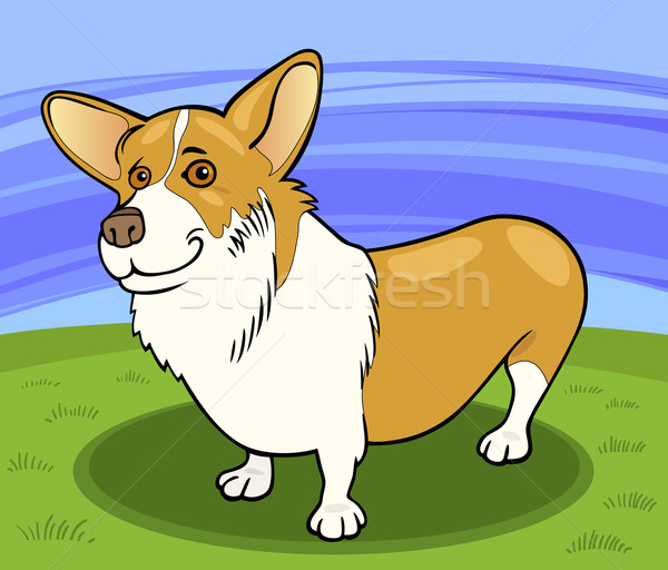pembroke welsh corgi dog cartoon illustration Stock photo © izakowski
