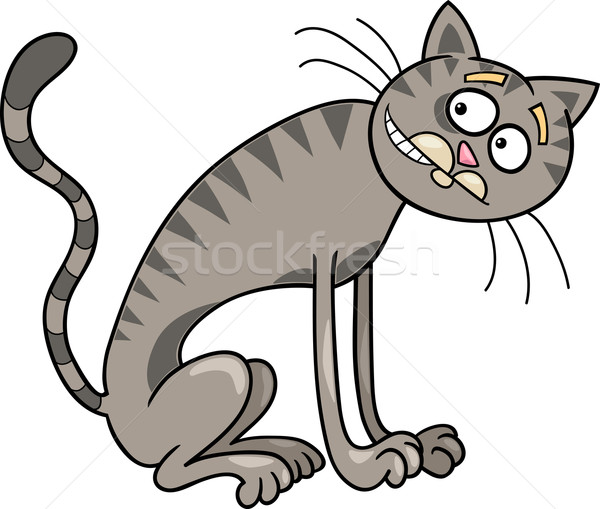 thin gray tabby cat Stock photo © izakowski