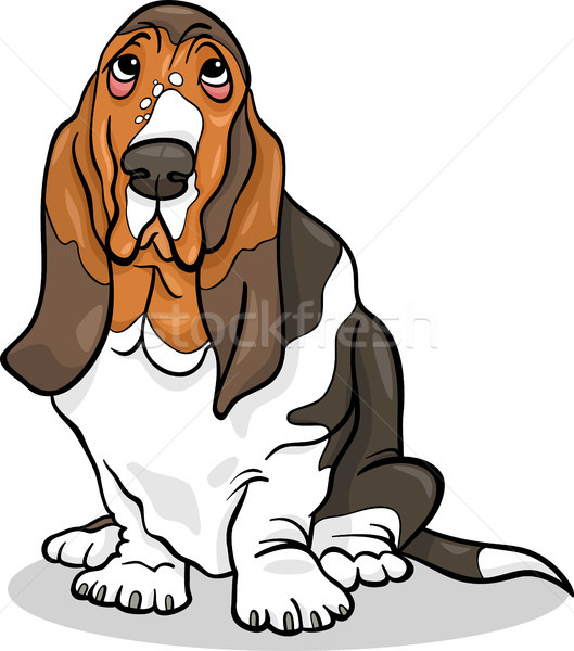 basset hound dog cartoon illustration Stock photo © izakowski