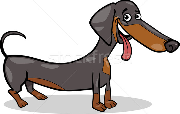 Tacskó kutya rajz illusztráció aranyos fajtiszta Stock fotó © izakowski