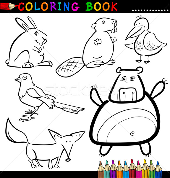 Animals for Coloring Book or Page Stock photo © izakowski