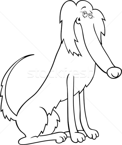 ирландский собака Cartoon книжка-раскраска иллюстрация смешные Сток-фото © izakowski