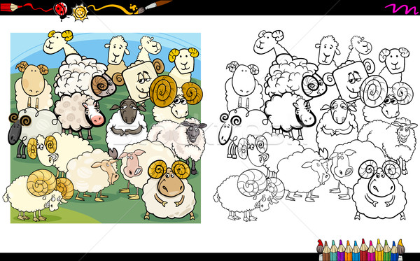 sheep characters coloring book Stock photo © izakowski