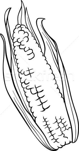 corn on the cob cartoon for coloring book Stock photo © izakowski