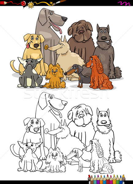 Cartoon собаки книжка-раскраска иллюстрация чистокровных собак ПЭТ Сток-фото © izakowski