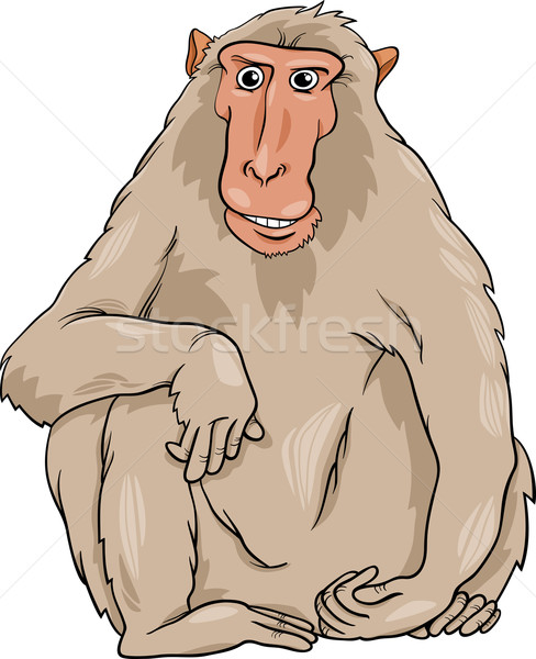 Animaux cartoon illustration drôle singe primat Photo stock © izakowski