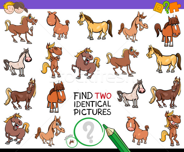 Vinden twee identiek paarden onderwijs activiteit Stockfoto © izakowski