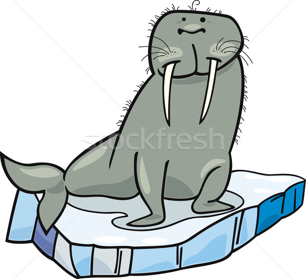 Cartoon walrus ijs water grafische Stockfoto © izakowski