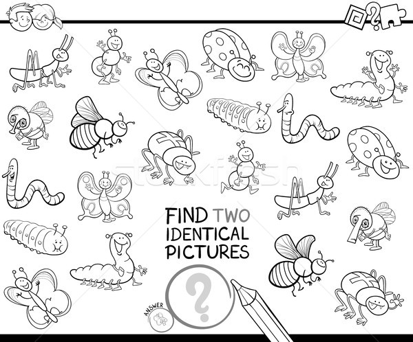 find two identical bugs pictures color book Stock photo © izakowski