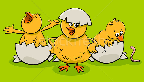 cartoon little chicks hatching from eggs Stock photo © izakowski