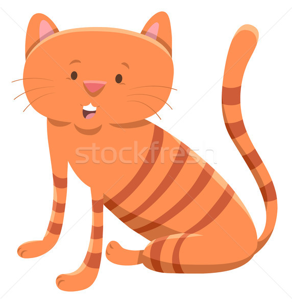 Gato doméstico desenho animado ilustração bonitinho Foto stock © izakowski