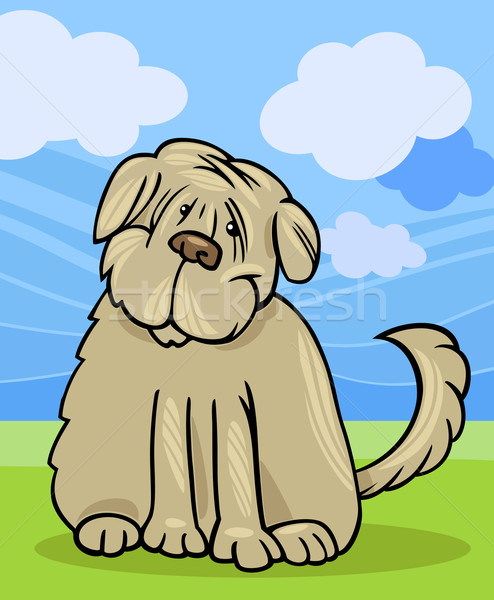 Desgrenhado terrier cão desenho animado ilustração engraçado Foto stock © izakowski
