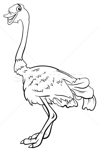 ostrich bird animal character cartoon coloring book Stock photo © izakowski