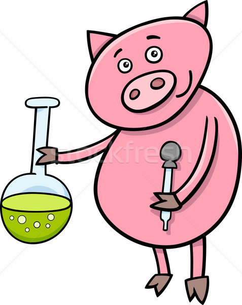Prosiaczek chemia cartoon ilustracja funny wieprzowych Zdjęcia stock © izakowski