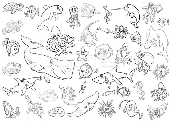 sea life animals coloring page Stock photo © izakowski