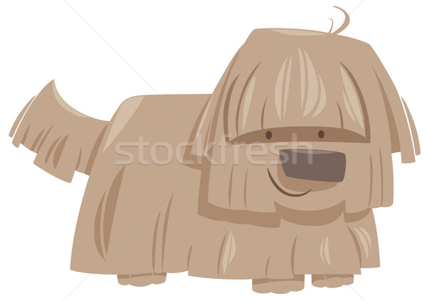 Desgrenhado cão animal desenho animado ilustração Foto stock © izakowski