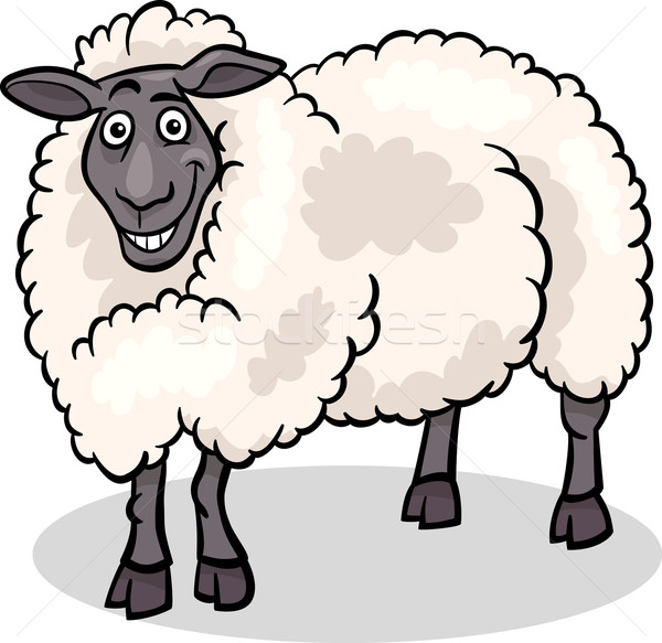 sheep farm animal cartoon illustration Stock photo © izakowski