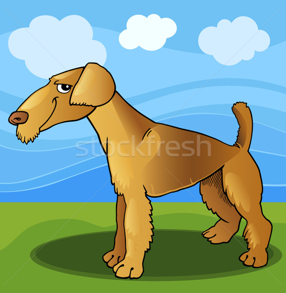 airedale terrier dog cartoon illustration Stock photo © izakowski