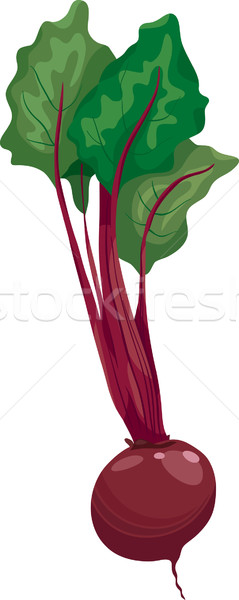beet vegetable cartoon illustration Stock photo © izakowski