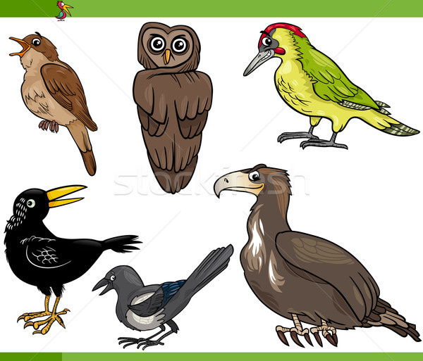 birds cartoon set illustration Stock photo © izakowski