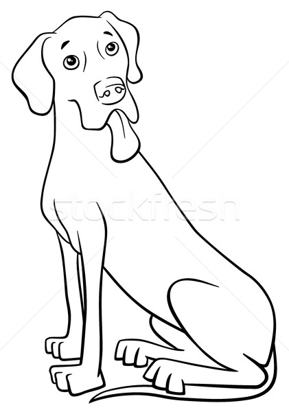 Fajtiszta kutya feketefehér rajz illusztráció nagyszerű kutya Stock fotó © izakowski