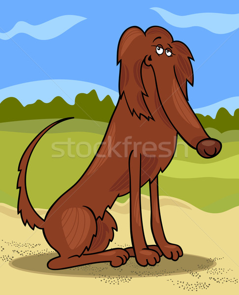 irish setter dog cartoon illustration Stock photo © izakowski