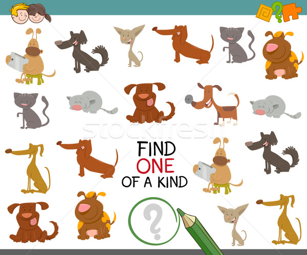one of a kind with dogs Stock photo © izakowski