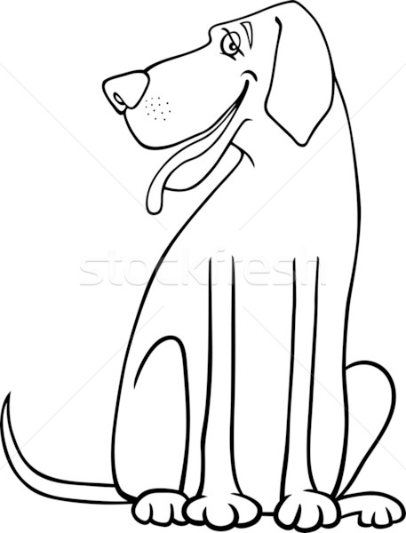 great dane dog cartoon for coloring Stock photo © izakowski