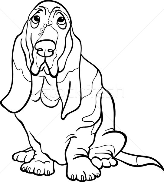 гончая собака Cartoon книжка-раскраска черно белые иллюстрация Сток-фото © izakowski
