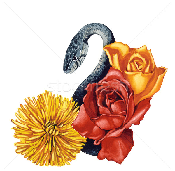 Schlange Blumen Illustration Hintergrund Kunst rot Stock foto © izakowski