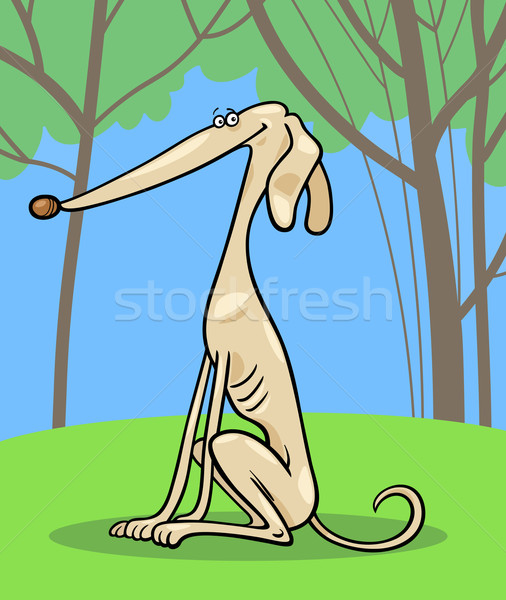 Galgo cão desenho animado ilustração engraçado Foto stock © izakowski
