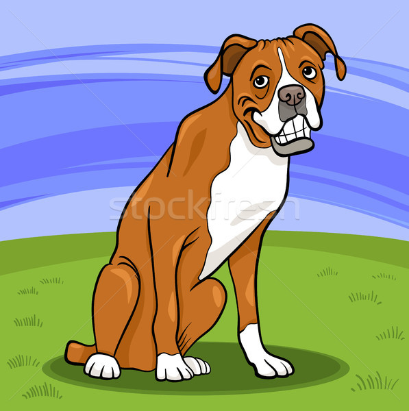 Boxoló fajtiszta kutya rajz illusztráció vicces park Stock fotó © izakowski