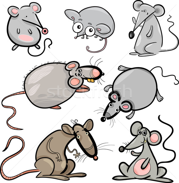 Ratos conjunto desenho animado ilustração bonitinho natureza Foto stock © izakowski
