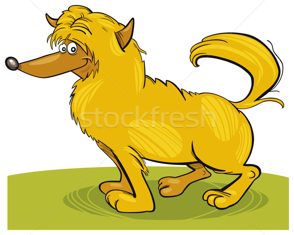 Stock photo: Shaggy yellow dog