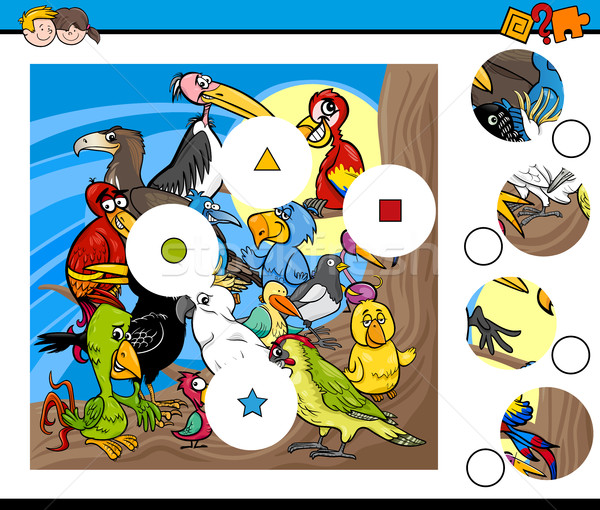 Partido piezas juego aves Cartoon ilustración Foto stock © izakowski