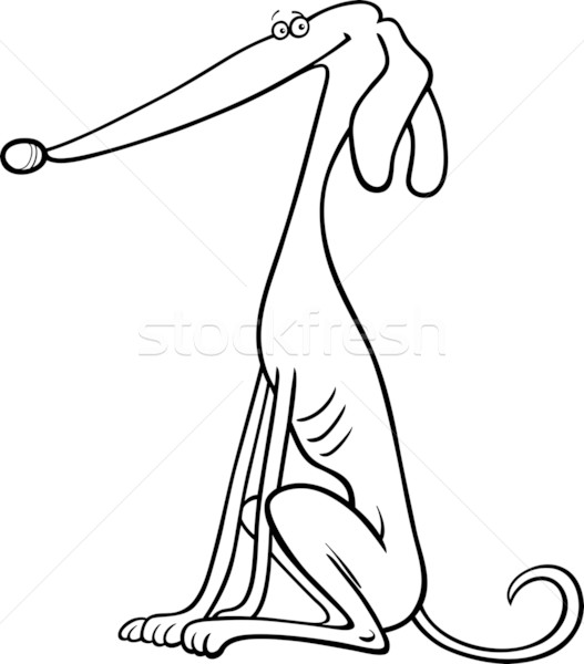 グレイハウンド 犬 漫画 塗り絵の本 実例 面白い ストックフォト © izakowski