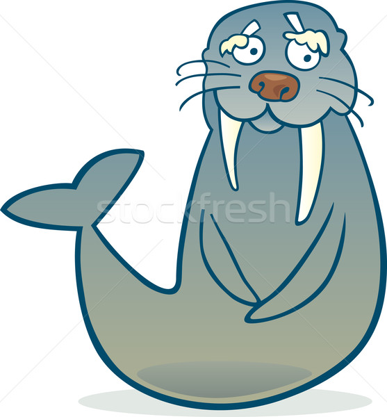 Walrus cartoon grappig dier tekening grafische Stockfoto © izakowski