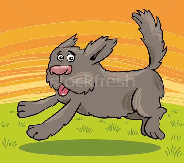 Corrida desgrenhado cão desenho animado ilustração engraçado Foto stock © izakowski