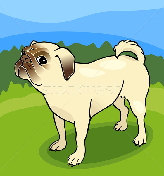 Stock photo: pug dog cartoon illustration